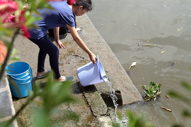 Vu Lan, người Sài Gòn ngao ngán nhìn cá vừa phóng sinh bị chích điện, bắt lại - 7