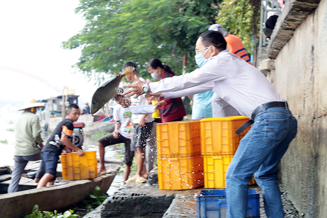 &nbsp;Cá chép, cá trê, cá lóc, cá rô, lươn…là những loại cá được người dân mang đến thả xuống sông Sài Gòn.