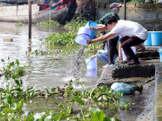 Tin tức trong ngày - Vu Lan, người Sài Gòn ngao ngán nhìn cá vừa phóng sinh bị chích điện, bắt lại