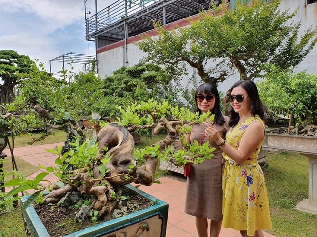 Hiện nay, “Thành Công Kỳ Viên” trở thành nơi gặp gỡ của những người có chung niềm đam mê về cây cảnh. Hơn cả một khu vườn đơn thuần, anh Thành mong muốn xây dựng một nơi để mọi người cùng trò chuyện, chia sẻ kinh nghiệm và thưởng thức cái đẹp được tạo tác từ người nghệ nhân chân chính.
