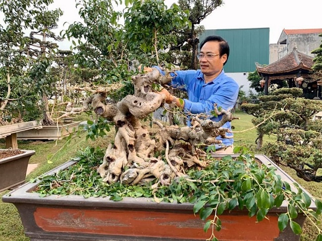 Dù bận rộn nhiều công việc khác nhau nhưng anh Thành luôn dành thời gian để tự tay chăm sóc từng gốc cây trong khu vườn.
