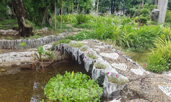 Lý giải về việc này, đại diện Phòng TN-MT TP Hòa Bình cho biết, TP đã chỉ đạo phòng xây dựng kế hoạch, phối hợp với các bên liên quan để tiến hành cưỡng chế thu hồi đất mà Công ty Thanh Út đang sử dụng. "Tuy nhiên, tiến trình này bị chậm trễ do ảnh hưởng của dịch COVID- 19. Hơn nữa, do khối lượng xây dựng trái phép của Công ty Thanh Út trên đất rất lớn, nên UBND TP Hòa Bình đang triển khai rà soát, đánh giá tài sản trên đất. Hiện, Sở Tài chính đang chờ ý kiến của tỉnh để có phương án xử lí khối tài sản này nên chưa thể tiến hành cưỡng chế", vị này phân trần.