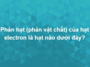 Giáo dục - du học - Các giáo sư biết tuốt cũng phải nhăn mặt kêu khó vì bộ câu hỏi này