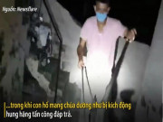 Phi thường - kỳ quặc - Video: Nín thở xem cảnh bắt hổ mang chúa ẩn dưới gầm cầu thang trong đêm