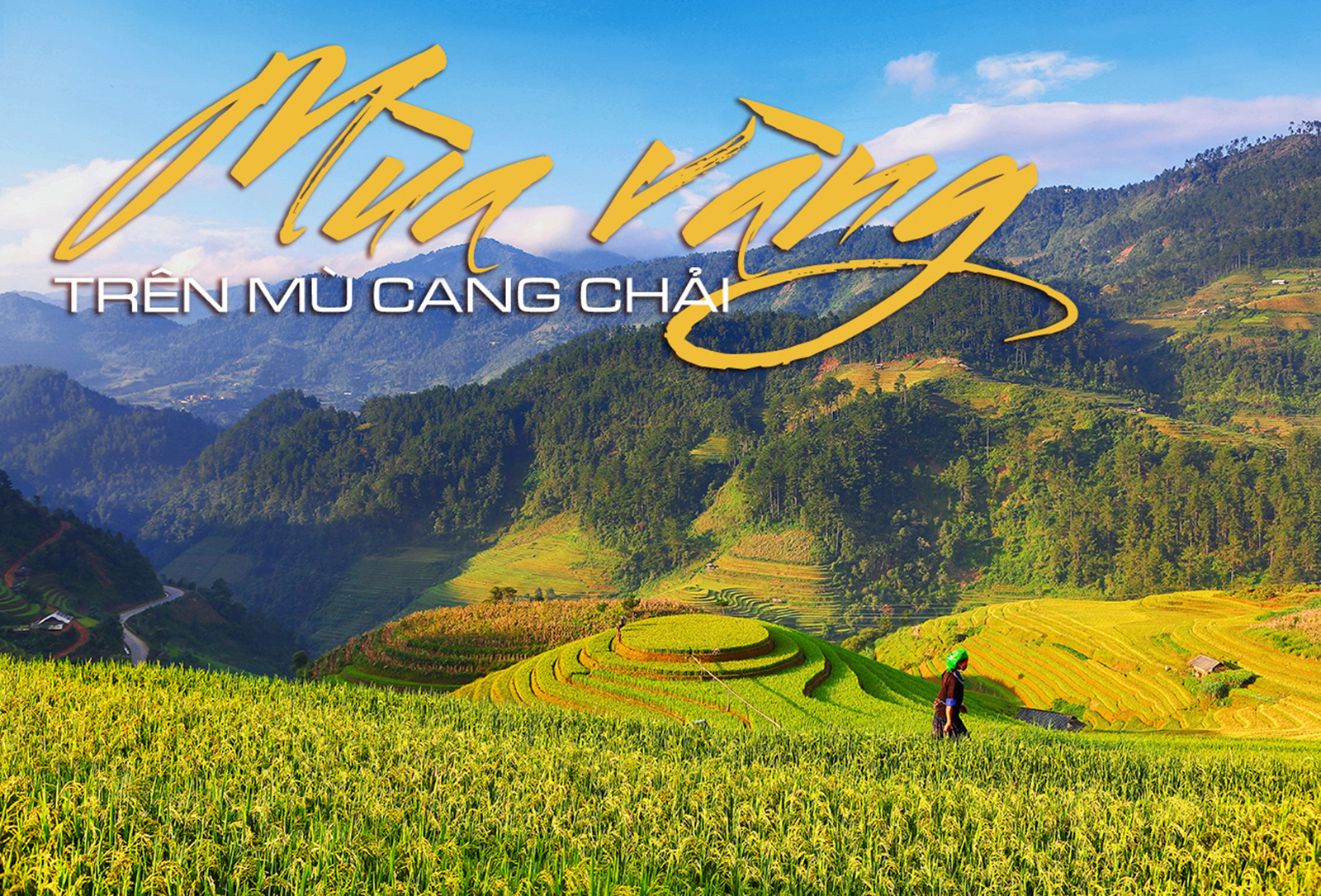 Mùa vàng trên Mù Cang Chải - 1