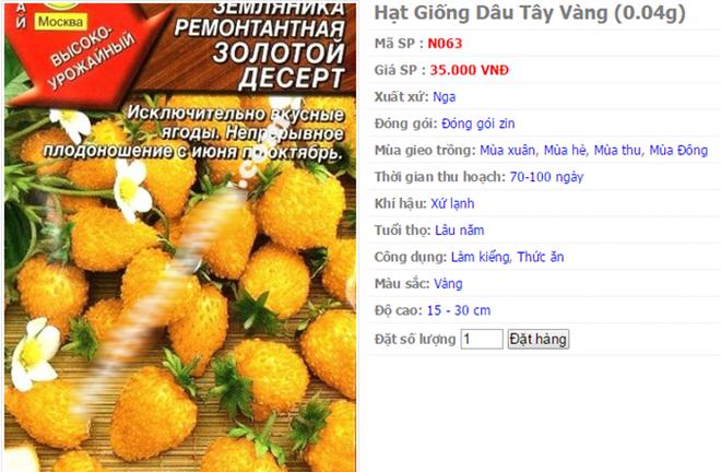 Trên thị trường, giá hạt giống dâu tây vàng dao động 35.000-40.000 đồng một gói. Khảo sát một số trang bán hàng trực tuyến, giá hạt giống dâu tây vàng 2-3 USD một gói.