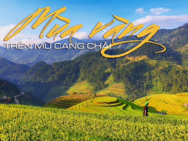 Du lịch - Mùa vàng trên Mù Cang Chải