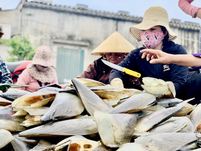 Sò mai (còn gọi là sò biên mai) thường nằm sâu dưới đáy biển ở vùng ngư trường cách bờ khoảng 5-7 hải lý.&nbsp;Thịt sò mai có thể chế biến những món ăn ngon như nướng mỡ hành, hấp, nấu cháo…