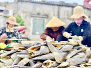 Thị trường - Tiêu dùng - Trúng đậm &quot;lộc trời&quot;, ngư dân Hà Tĩnh kiếm tiền triệu mỗi ngày