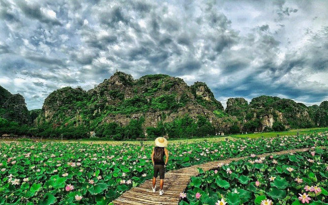 Ngỡ ngàng hồ sen nở rộ giữa Thu ở Hang Múa (Ninh Bình), giới trẻ tha hồ chụp ảnh “sống ảo“ - 7