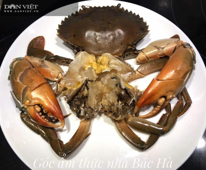 Chọn cua biển tươi ngon