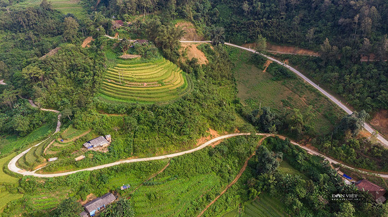 Những điểm ngắm lúa chín vàng đẹp ngất ngây ở phía Bắc - 18