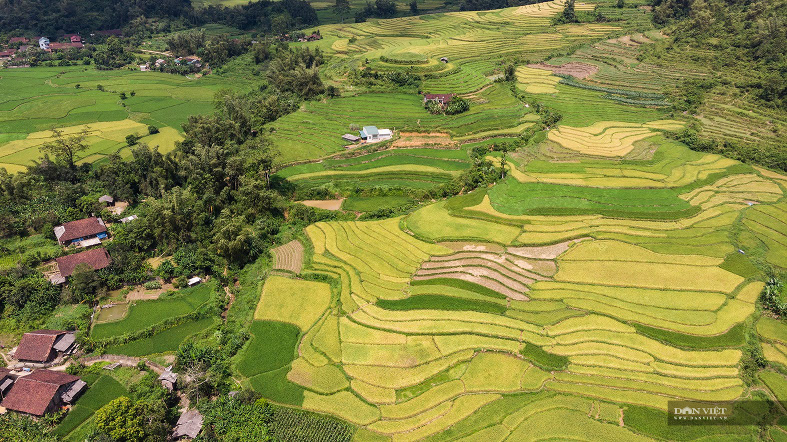 Những điểm ngắm lúa chín vàng đẹp ngất ngây ở phía Bắc - 14