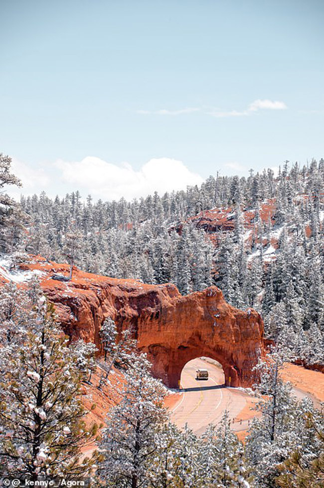 Nhiếp ảnh gia người Anh Kent Sampson đã chụp được cảnh tượng tuyệt vời này ở Hẻm núi Đỏ của Utah. 
