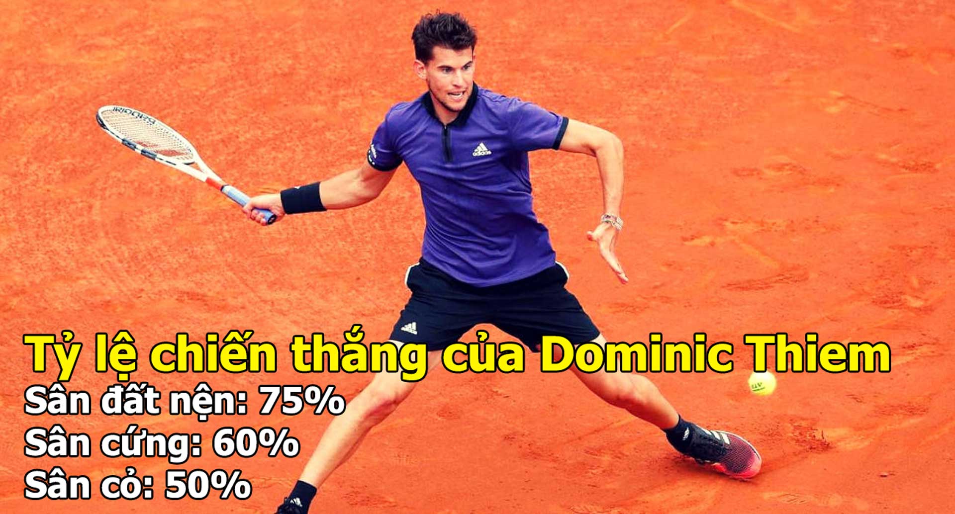 Dominic Thiem: Từ hoàng tử sân đất nện tới vương miện sân cứng - 2