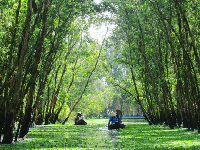 Sốt sình sịch với vẻ đẹp mùa nước nổi miền Tây - 1