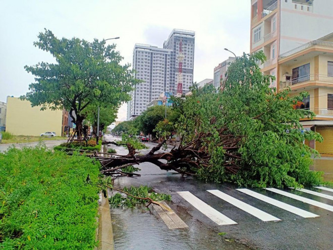 Chùm ảnh trước bão: Đà Nẵng mưa xối xả ngập đường, sấm sét vang trời - 4