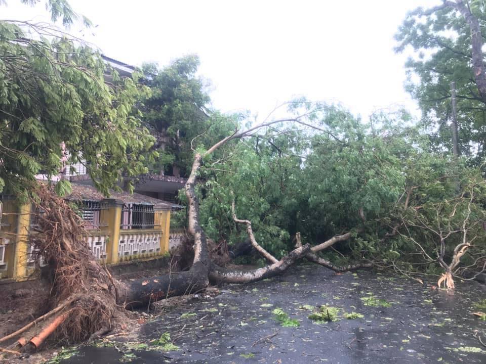 Tại Thừa Thiên – Huế, sáng 18/9, bão số 5 đã đổ bộ trực tiếp vào đất liền gây mưa to, gió giật nhiều nơi. Ảnh Fanpage Thừa Thiên – Huế.
