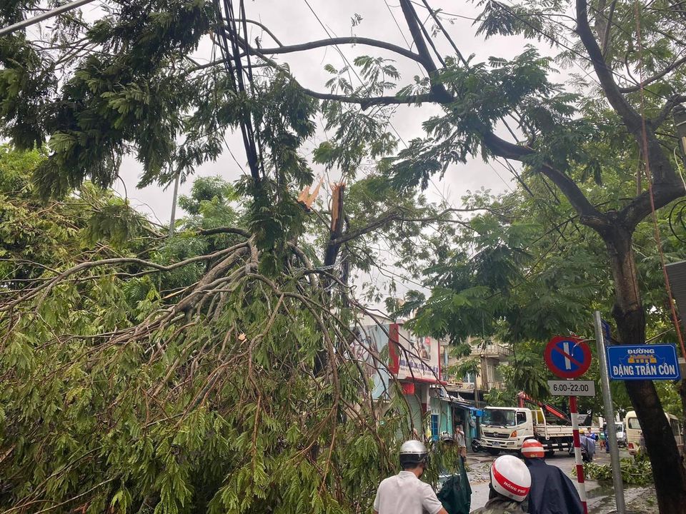 Các cây xanh bật gốc, gãy cảnh chắn ngang đường khiến giao thông qua nhiều tuyến phố bị ách tắc. Ảnh Fanpage Thừa Thiên – Huế.