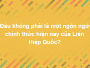 Giáo dục - du học - Tưởng &quot;dễ xơi&quot; nhưng câu đố cuối cùng đánh bại 90% độc giả