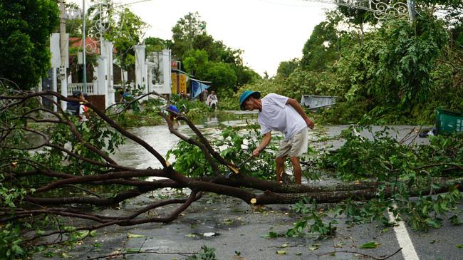 Cây xanh gãy đổ hàng loạt do bão số 5 ở Thừa Thiên - Huế.
