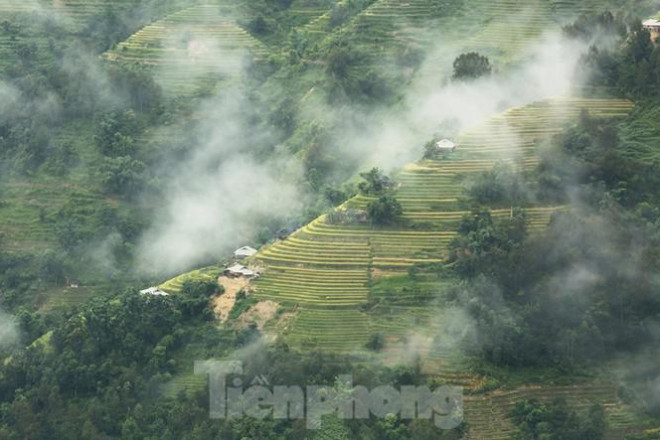 Ngất ngây áng mây bay trên những thửa ruộng bậc thang chín vàng ở Hà Giang - 10