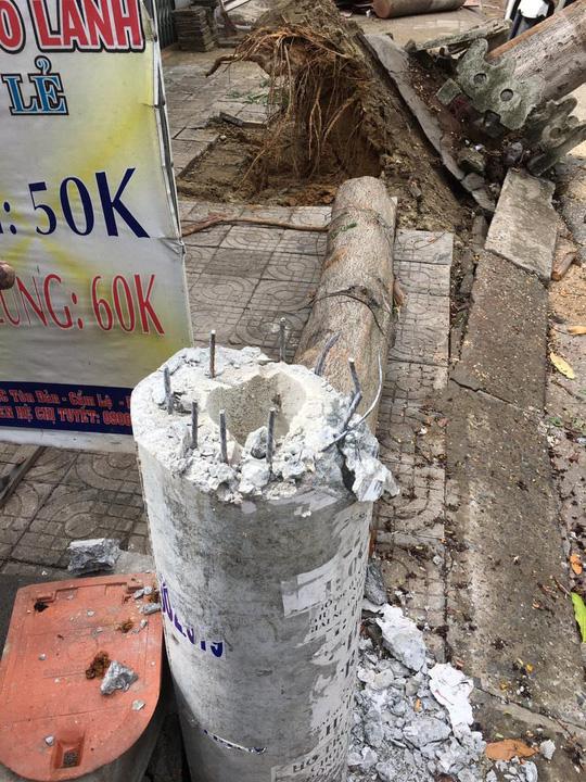 Hình ảnh cột điện gãy đổ trong bão số 5 tại TP Đà Nẵng - Ảnh: B.Vân