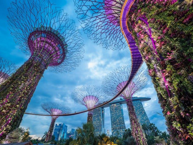 Vườn cây khổng lồ Supertree Grove, Singapore: Vườn cây khổng lồ Supertree Grove gồm 18 cây khổng lồ cao hơn 48m, được kết nối với nhau bằng những skywalk. Đây là điểm nhấn đẹp nhất của vườn năng lượng nhân tạo Gardens by the Bay, tạo tầm nhìn toàn thành phố và khu vườn rất phong phú các loài sinh vật. Ảnh: Shutterstock.