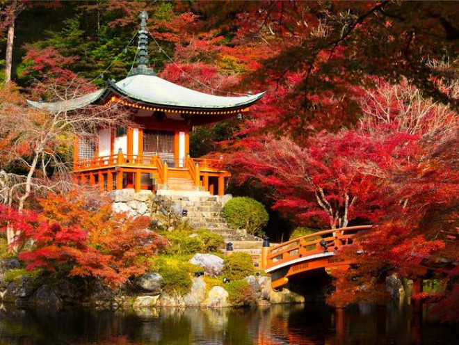 Kyoto là thủ đô của đất nước Mặt trời mọc cho đến giữa thế kỷ 19. Nơi đây đầy ắp những kiến trúc truyền thống và tôn giáo, cùng những khu vườn rất đặc trưng cho văn hóa Nhật Bản. Ảnh: Shutterstock.