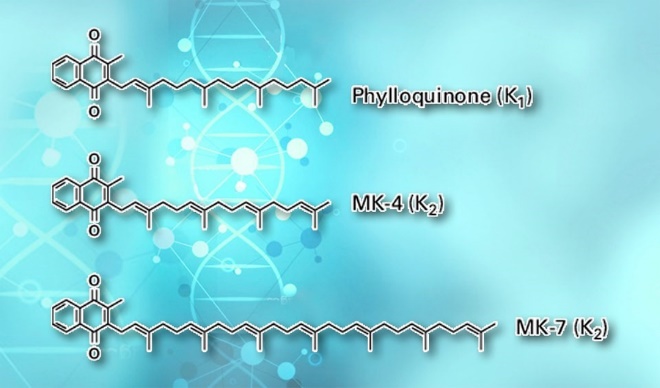 Vitamin K2 có chuỗi bên dài hơn, sinh khả dụng tốt hơn K1