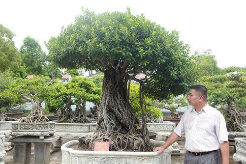 Mãn nhãn trước bộ ba si cổ hàng trăm tuổi, trị giá chục tỷ đồng của đại gia Tuấn &#34;vàng&#34; - 1