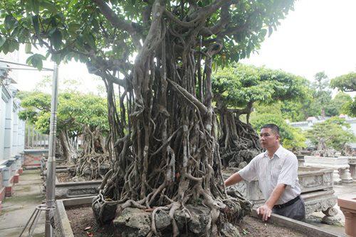 Mãn nhãn trước bộ ba si cổ hàng trăm tuổi, trị giá chục tỷ đồng của đại gia Tuấn &#34;vàng&#34; - 4