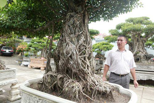 Tác phẩm si tai chuột cổ.