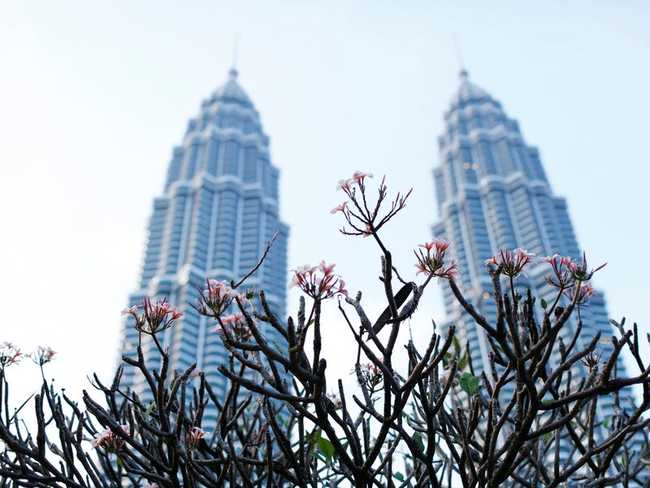 17. Tháp đôi Petronas 2

Chiều cao: 452 m

Số tầng: 88

Địa điểm: Kuala Lumpur, Malaysia

Ngày hoàn thành: 1998

