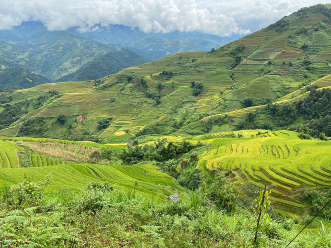 Gấm vóc ở Lao Chải,. Ảnh: Lê Xuân Sơn