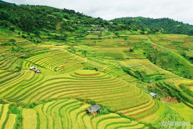 Nằm dưới chân của dãy núi Hoàng Liên Sơn ở độ cao 1.000m so với mặt nước biển, muốn đến được Mù Cang Chải phải đi qua đèo Khau Phạ - một trong tứ đại đỉnh đèo của Tây Bắc.