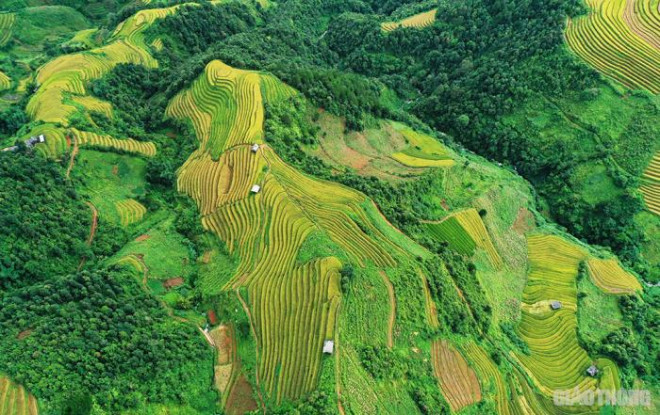 Các thửa ruộng kích thước to nhỏ khác nhau uốn lượn như "vân tay" của trời đất.