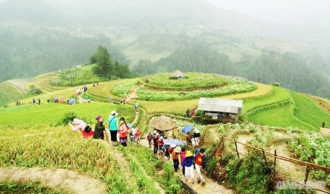 Ngoài các thửa ruộng bậc thang ở La Pán Tẩn, Chế Cu Nha, Dế Xu Phình, du khách còn có thể đi thăm bản Lìm Thái, Lìm Mông... và khám phá đời sống văn hóa đặc sắc của đồng bào dân tộc Mông nơi đây.