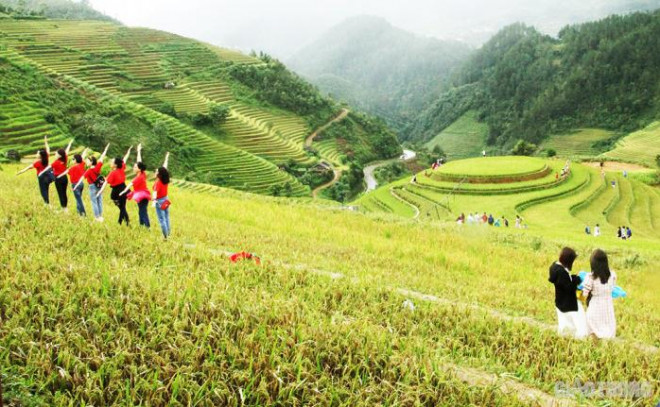 Đến hẹn lại lên, khách du lịch và giới nhiếp ảnh từ khắp nơi lại đổ về đây để chiêm ngưỡng và chụp ảnh cùng những "dải lụa vàng" đẹp đến nao lòng.