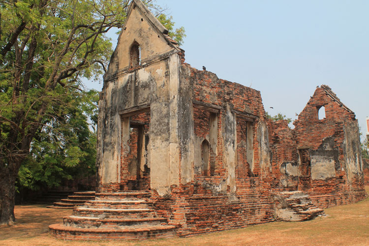 Lạ lùng khu tàn tích cổ trở thành thánh địa loài khỉ, phải luôn cảnh giác khỏi bị khỉ cướp đồ - 6