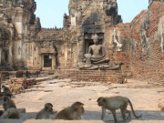 Du lịch - Lạ lùng khu tàn tích cổ trở thành thánh địa loài khỉ, phải luôn cảnh giác khỏi bị khỉ cướp đồ