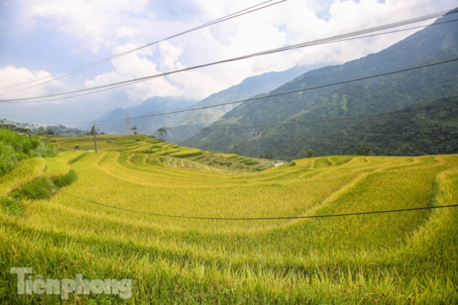 &nbsp;Đến Sa Pa vào mùa thu, nhiều khách du lịch cảm thấy sửng sốt và ngỡ ngàng trước khung cảnh nơi đây.