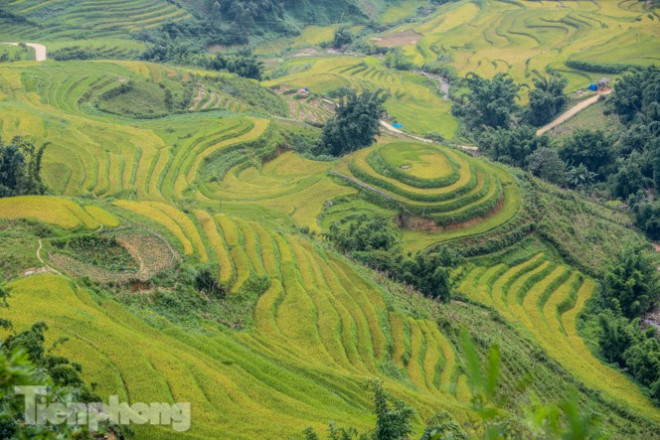 Ruộng bậc thang trùng điệp ở bản Tả Van.