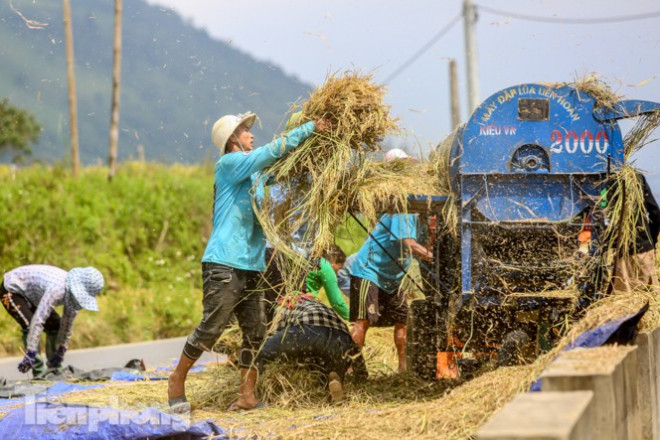 Ở đây nhiều hộ tiên tiến đã dùng đến máy đập lúa, tuy nhiên nhiều bản vẫn còn đập thủ công.