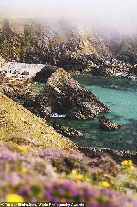 Màn sương đang tan ra ở công viên Deer Park, Pembrokeshire, Wales tham dự hạng mục phong cảnh của nhiếp ảnh gia máy Tariqur Shaha.&nbsp;