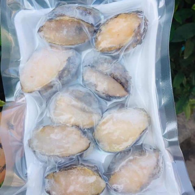 Bào ngư Hàn Quốc không dưới 1 triệu/kg nhưng trên chợ mạng đang xuất hiện 1 loại bào ngư với giá siêu rẻ