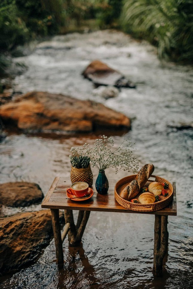 Đà Lạt quá chill: "Đổi cảnh" ở hai tiệm cà phê có view thiên nhiên đẹp đến nao lòng - 4