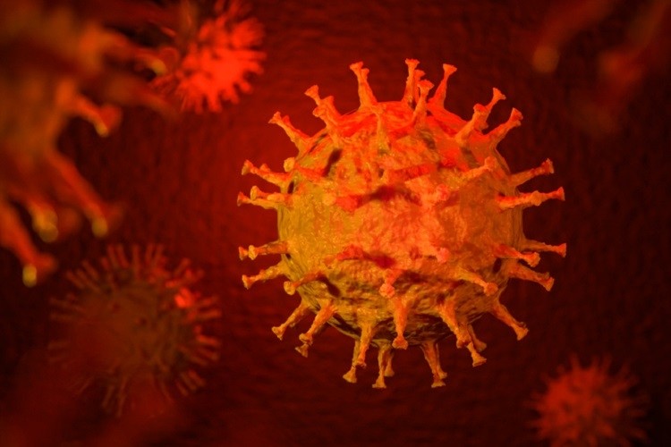 Virus SARS-CoV-2 làm thay đổi kích thước tế bào máu. Ảnh minh họa: OP