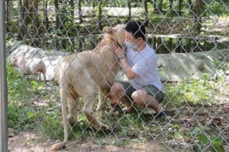Người đàn ông TQ nuôi sư tử 70kg trong nhà: Thủ tướng Campuchia ra quyết định