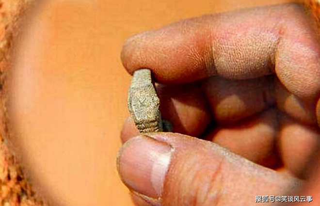 Vật kỳ lạ được tìm thấy trong lăng mộ thời Minh